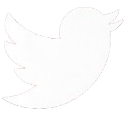 Twitter Icon